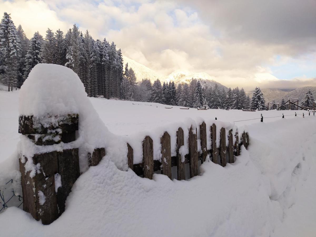 Siora Lina Appartamenti Vigo di Cadore Exterior foto